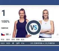 科维托娃宣布怀孕喜讯 科维托娃宣布怀孕喜讯
